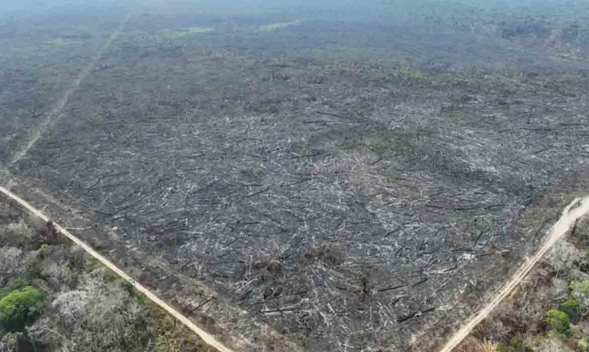 Queimadas fazem desmatamento crescer 92% na Amazônia em maio